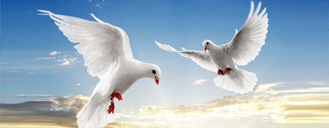 Activities banner1