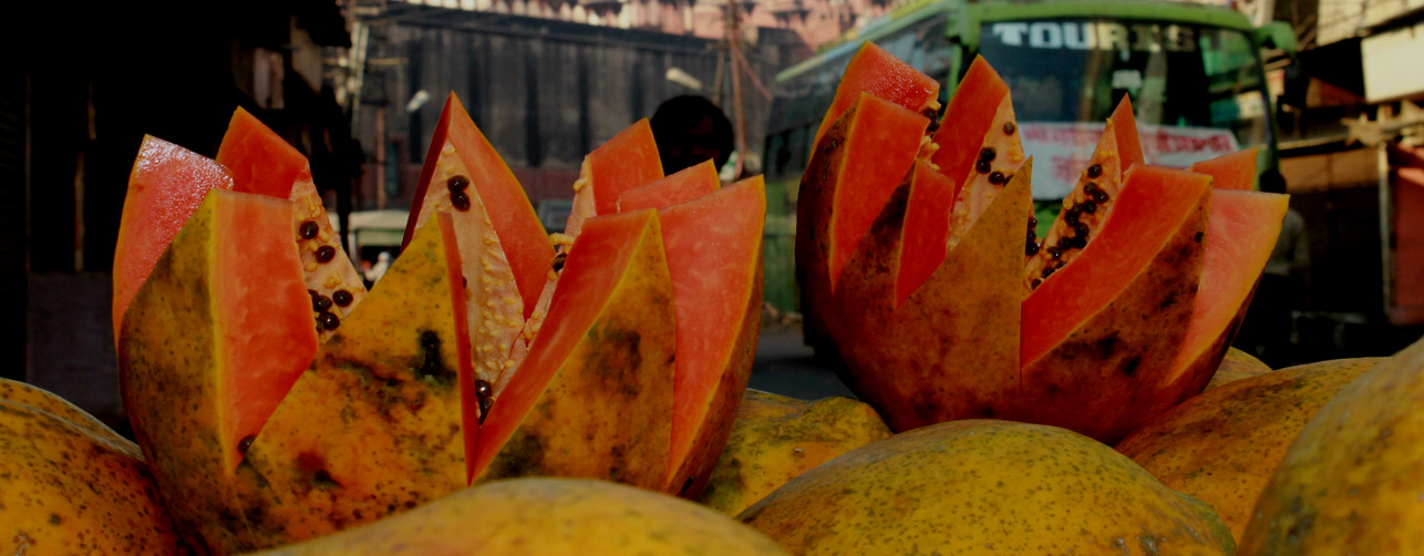 Discovering Oriental Agra banner4